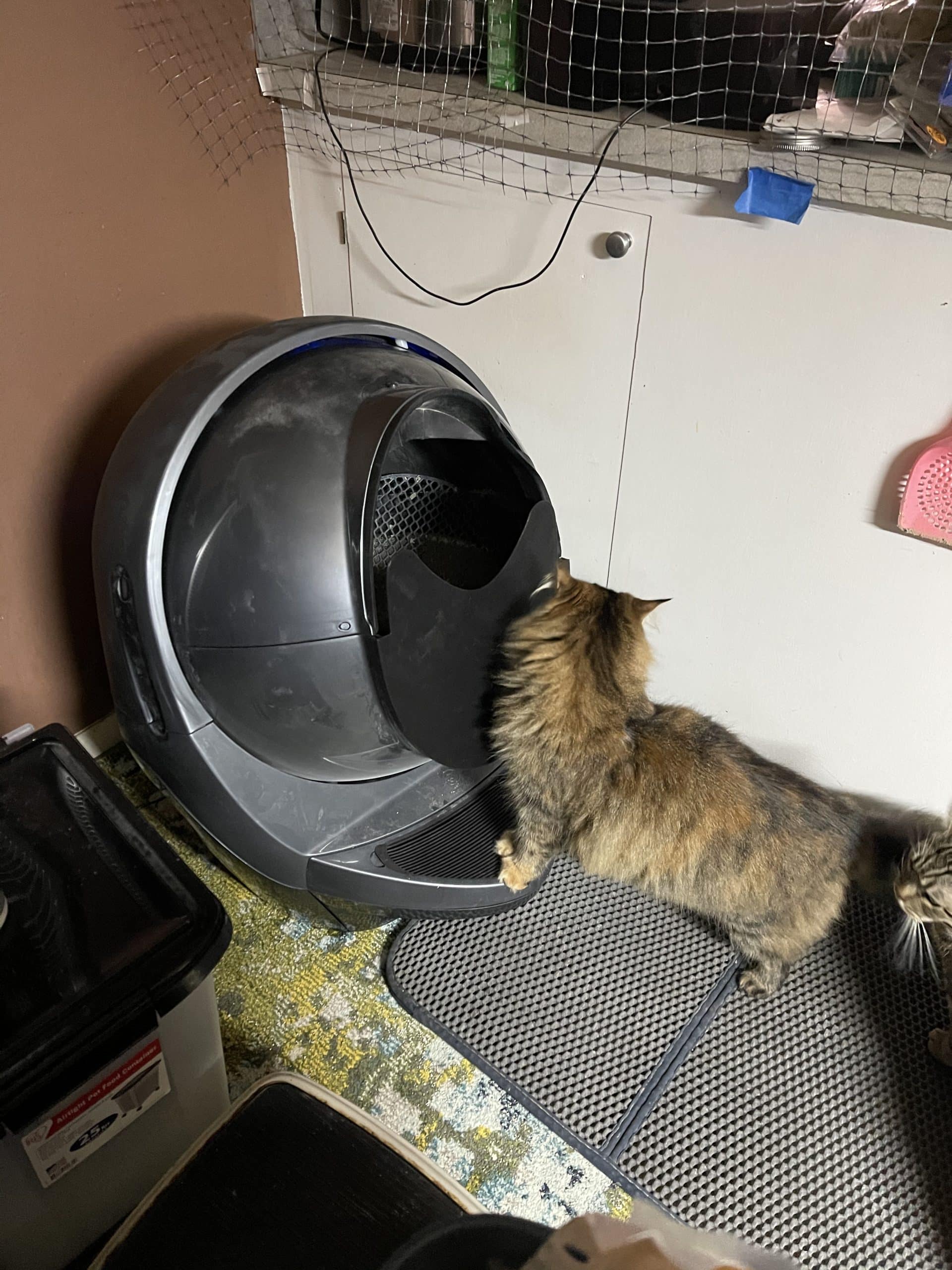 LR3 D&D Full Shield - 3D Printed - Image 5