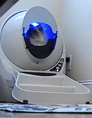 The Protector for LR3 photo review