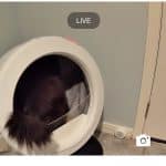 Half Guard for Litter-Robot 4 photo review