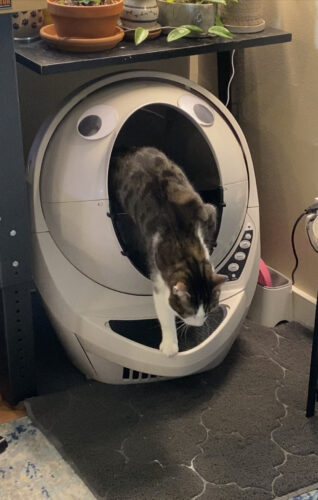 LR3 Half Guard - Acrylic photo review