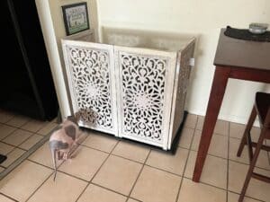 Pet Gate to Slow Exit from LR - v1-image