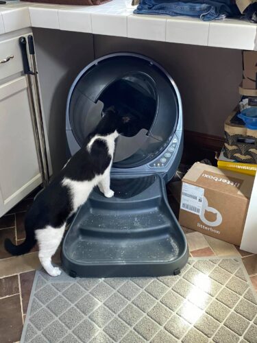 LR3 Alt Shield - 3D Printed photo review