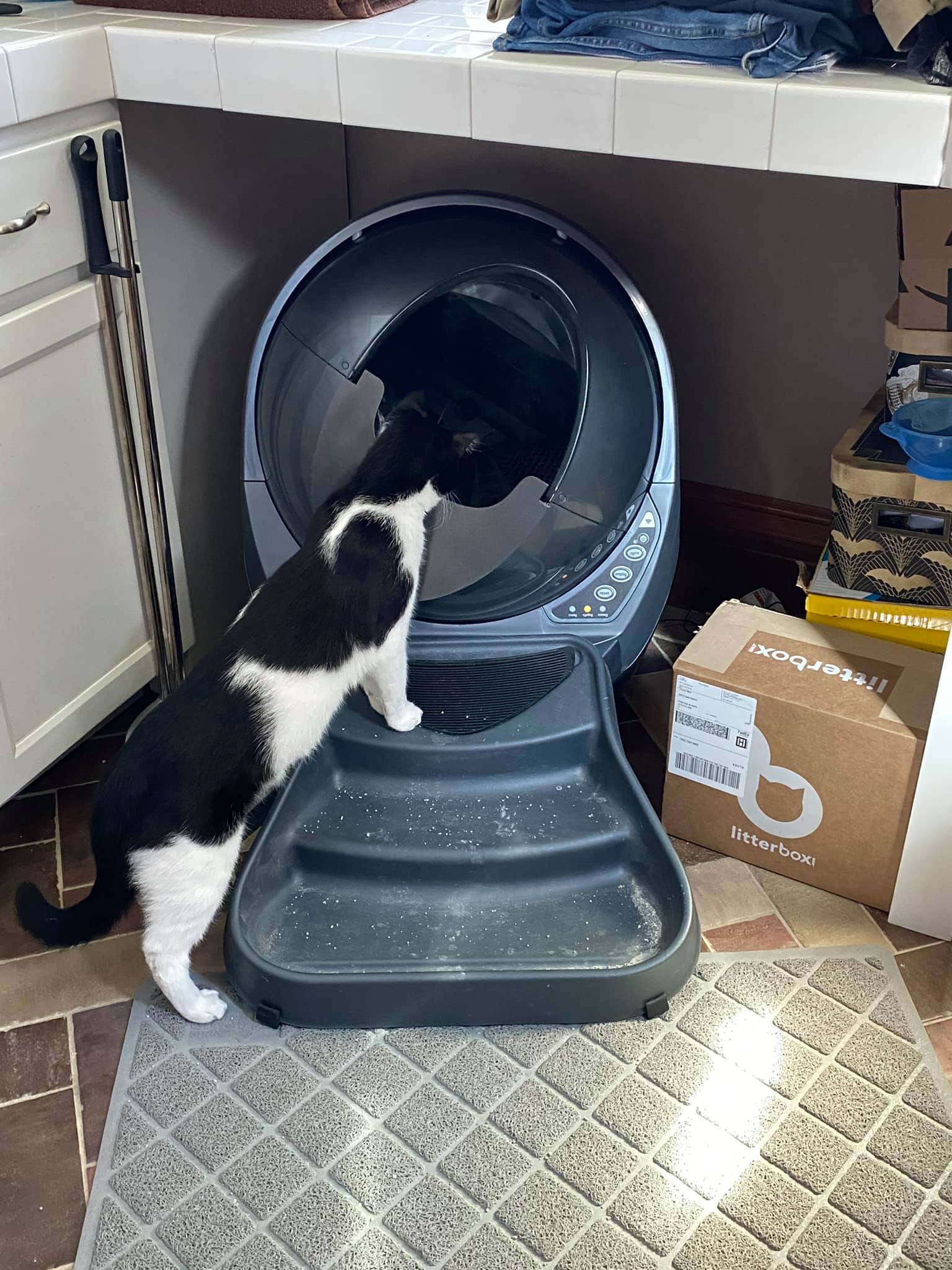 LR3 Alt Shield - 3D Printed